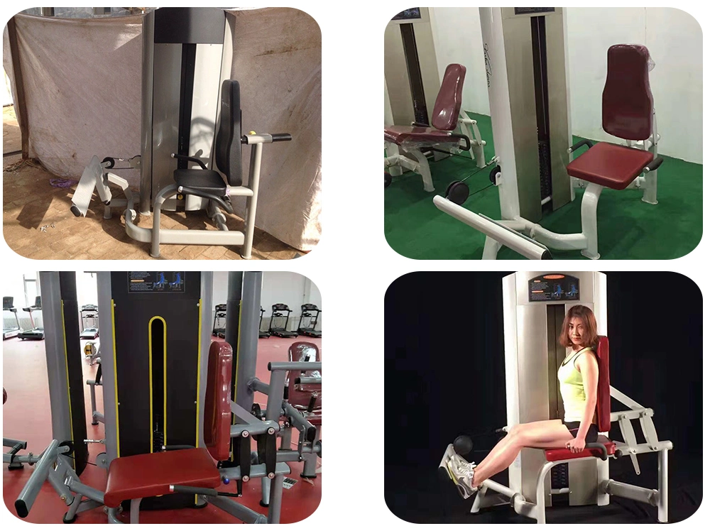 Seated Calf Gym Equipment / Commercial Body Strength Fitness Equipment