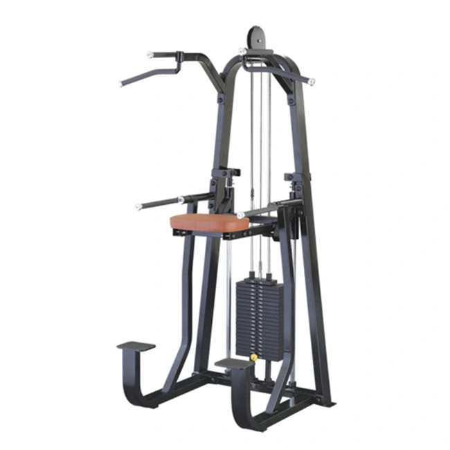 Assist Chin/DIP Commercial Strength Body Building Fitness Equipment / Gym Exercise Machine