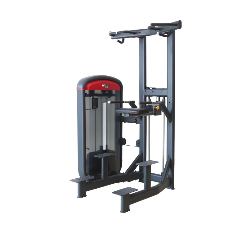 F1 7037 Commercial Strength Chin Uptrainer Fitness Equipment Gym Equipment Gym Machine