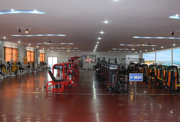 Strength Gym Machine Chest Press Fitness Equipment