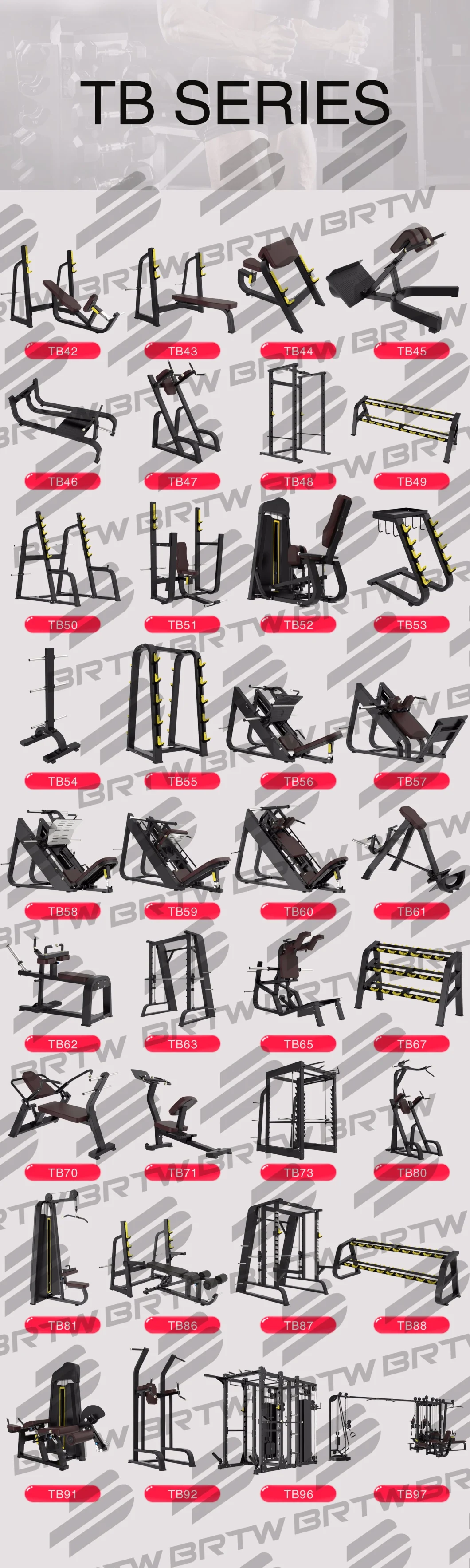 Classical Movement Rotary Torso Exercise Gym Workout Equipment Fitness for Bodybuilding