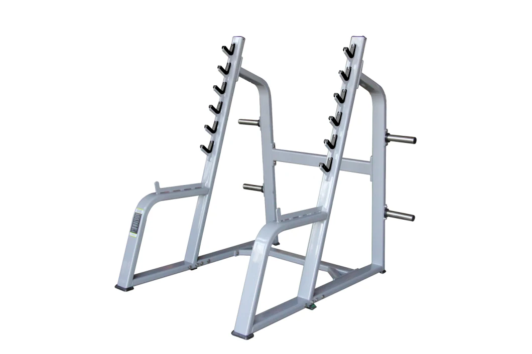 Best Hot Selling High Quality Fitness Equipment Squat Rack for Gym (AXD5050)
