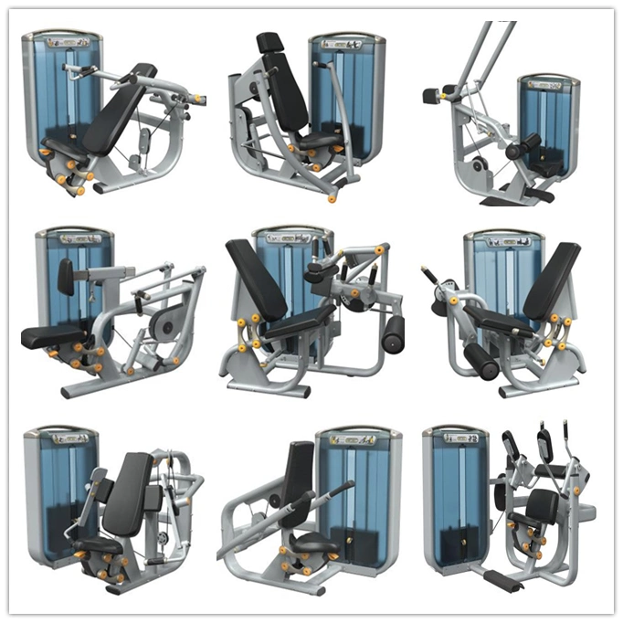 Hot Sales Gym Equipment Hip Exercise Glute Machine GM55