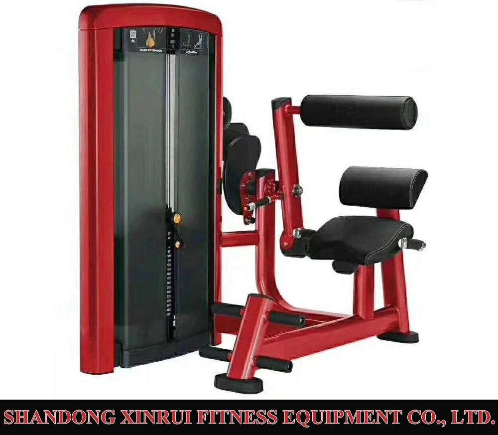 Best Quality Fitness Equipment Triceps Press (XH910)