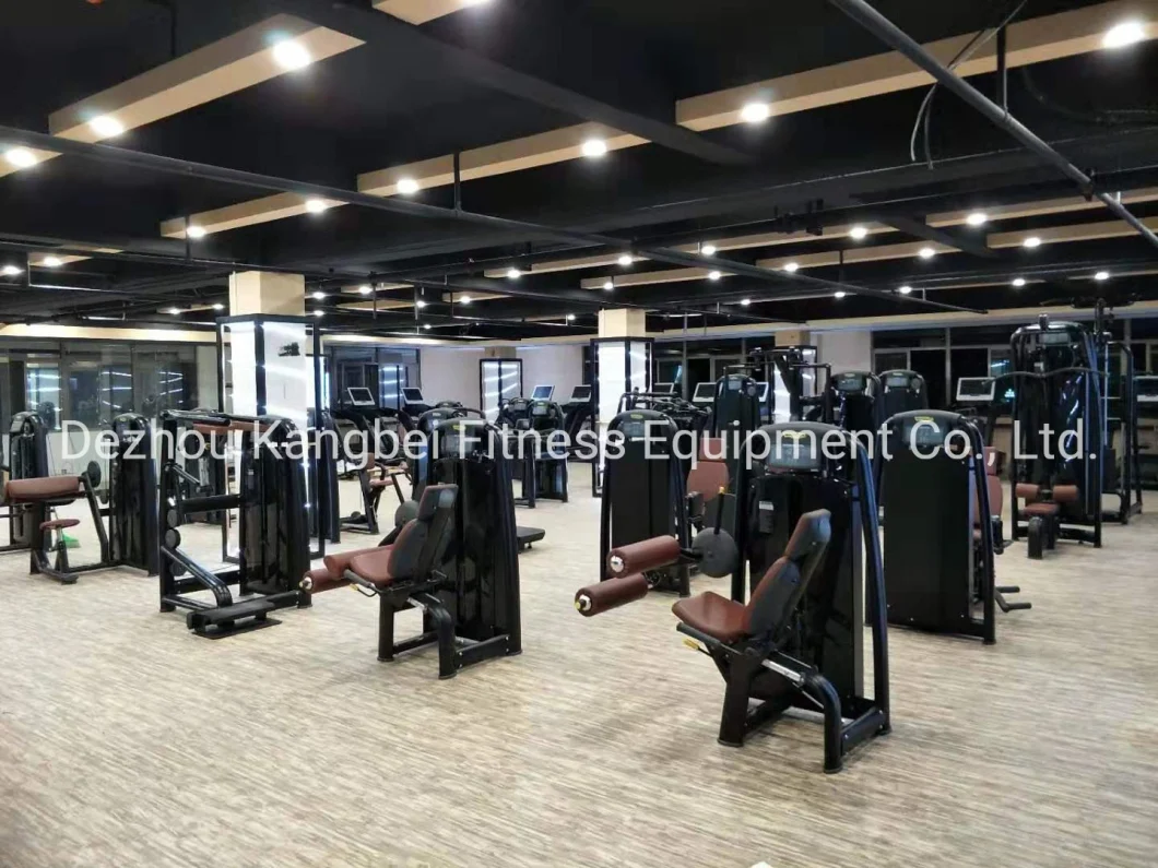 Fitness Commercial Gym Equipment/Fitness Equipment Club Smith Machine