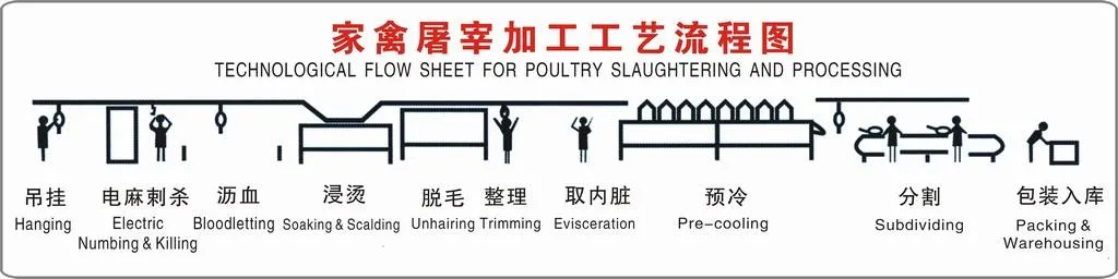 Poultry Boneless Machine Chicken Thigh Deboner Equipment Poultry Processing Machinery