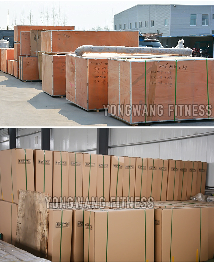 Gym Equipment Commercial Indoor Gym Equipment Flat Bench Press Multifunction Machine