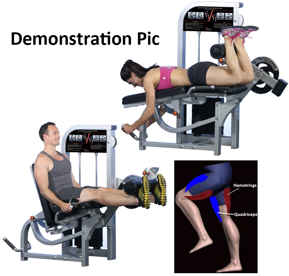 Home Gym Workout Fitness Equipment for Leg Curl/Extension (PF-1007)