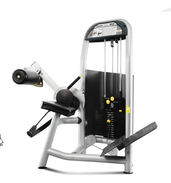 F1-5008 Commercial Strength Back Training Machine Gym Body Building Equipment Body Building Machine