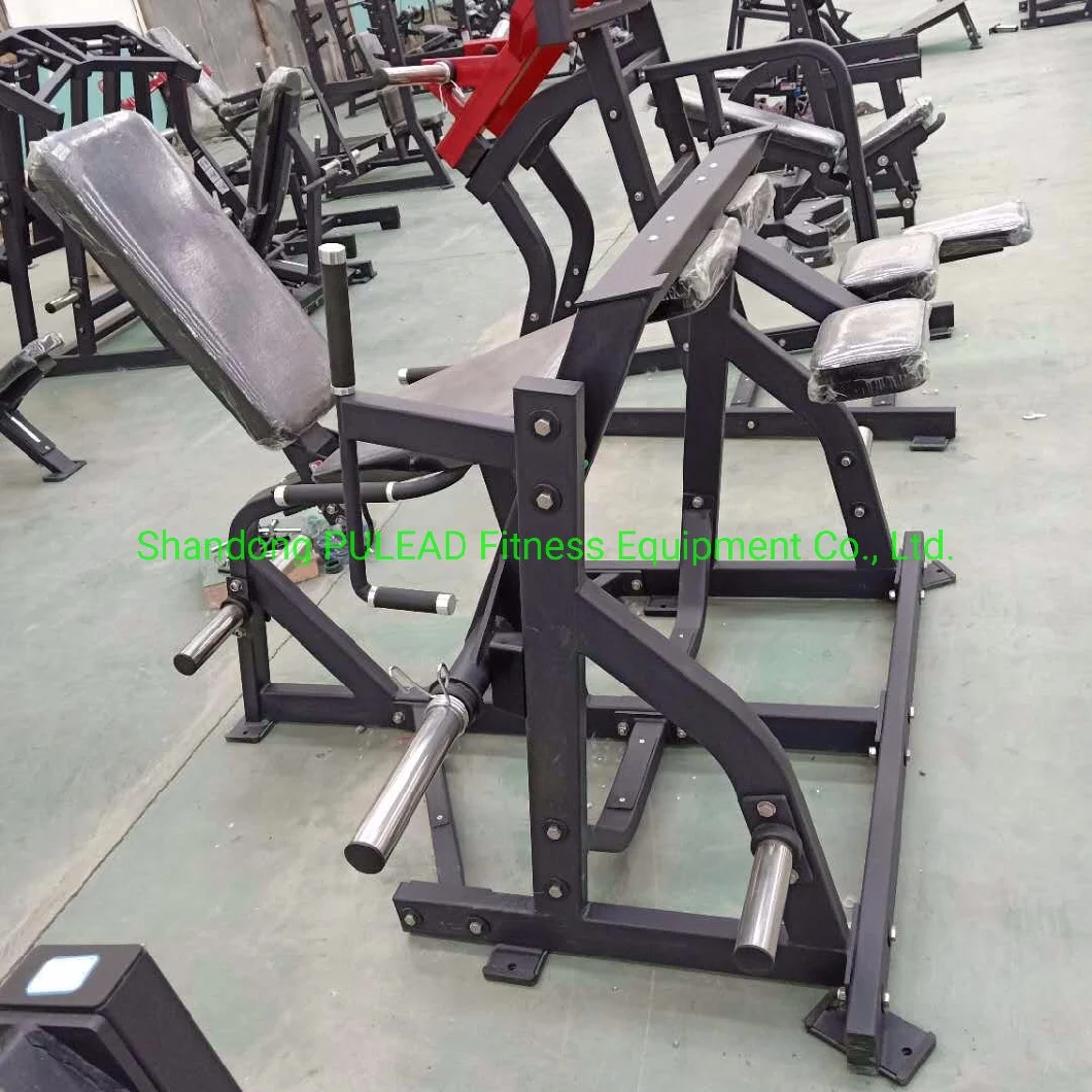 Seated Leg Curl Customized Logo Body Building Workout Gym Fitness Equipment