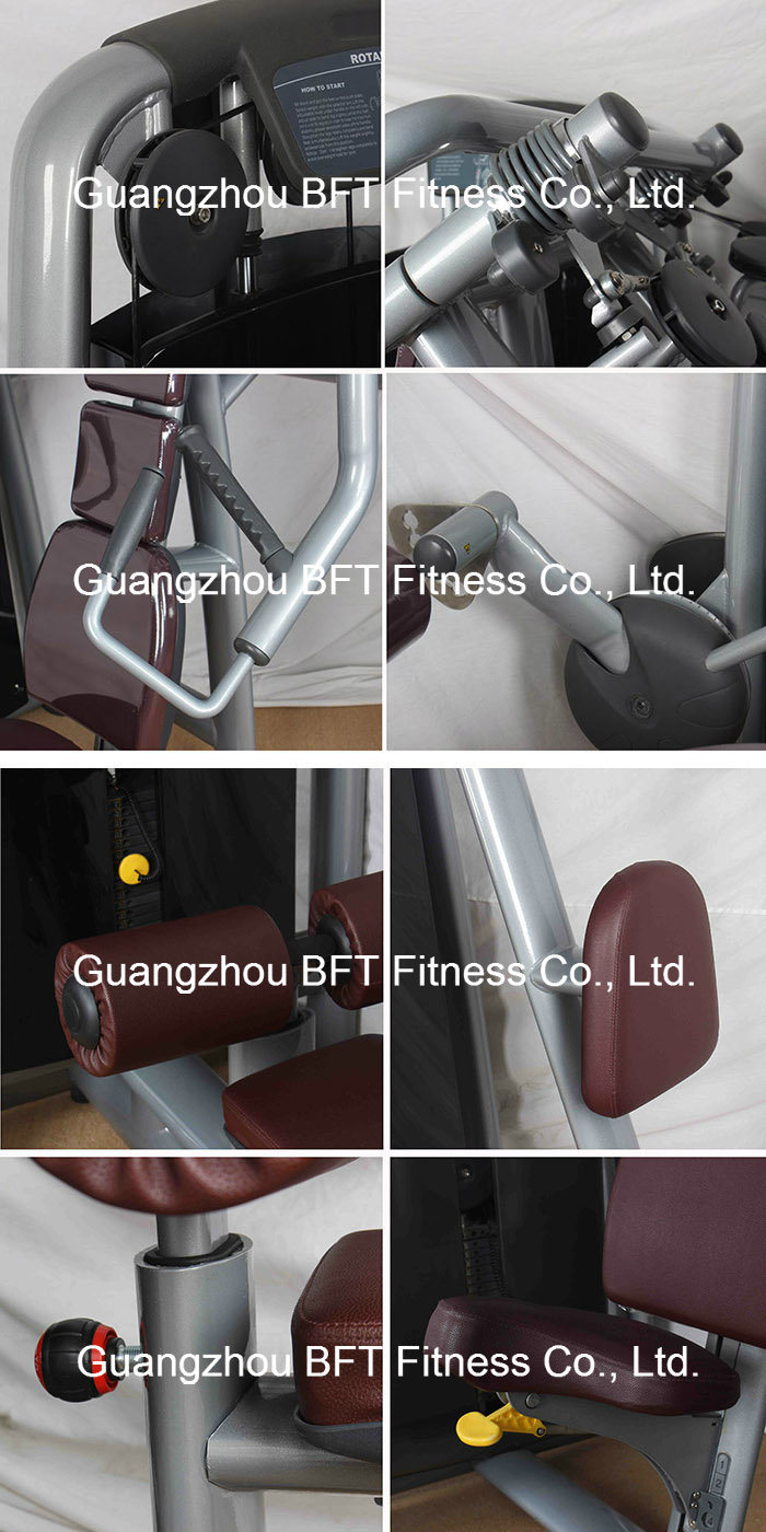 China Professional Chest Press Machine/ Commercial Fitness Equipment / Wholesale Gym Equipment (BFT-2046)