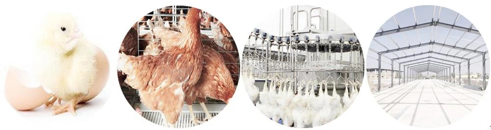 Poultry Boneless Machine Chicken Thigh Deboner Equipment Poultry Processing Machinery