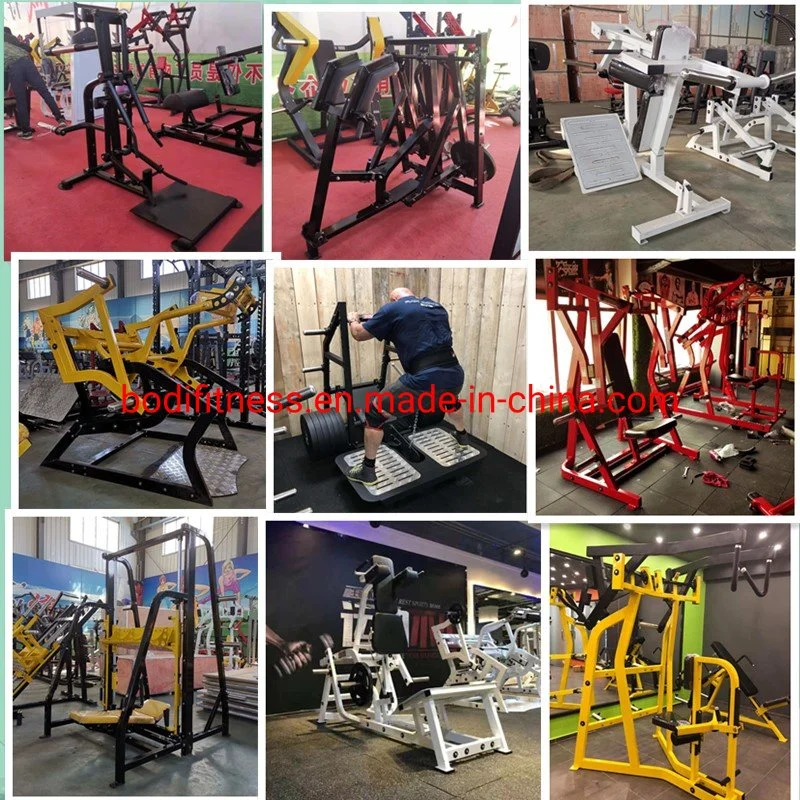 Gym Machine/Plate Loaded Fitness Equipment/Hammer Strength/Seated Leg Curl