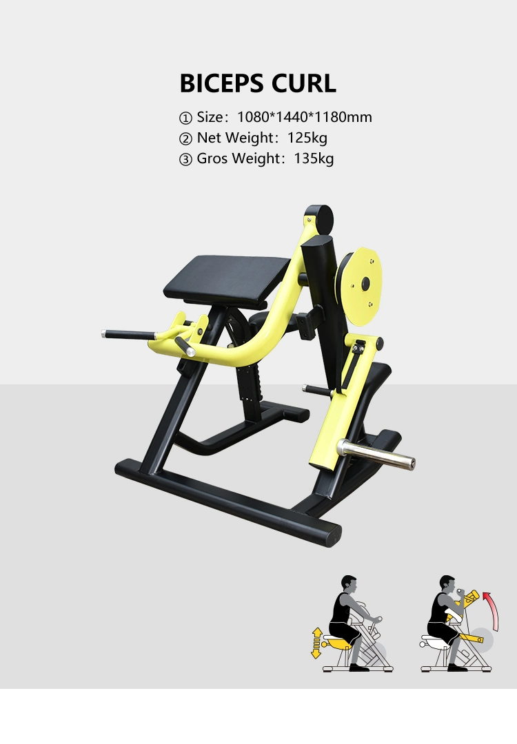Commercial Gym Biceps Curl Machine/Plate Loaded Gym Biceps Curl