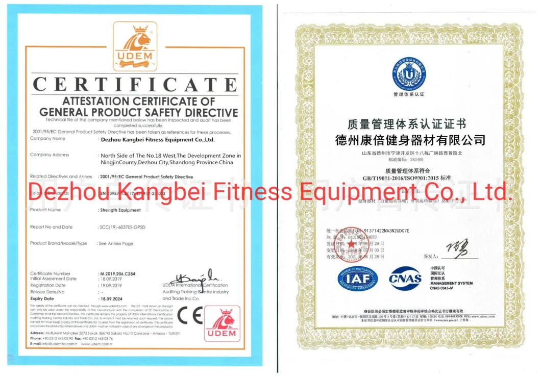 High Quality Intergrated Gym Trainer Precor Machine DIP/Chin Assist