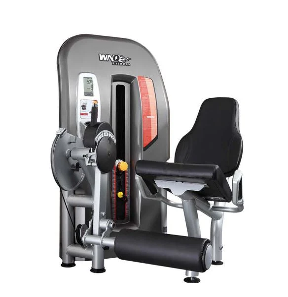 Luxury Leg Extension Gym Machine Exercise Machine in Gym Room