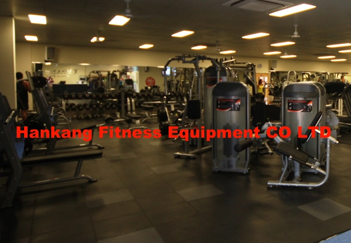 Gym and Gym Equipment, Body Building, Hammer Strength, Prone Leg Curling (HP-3026)