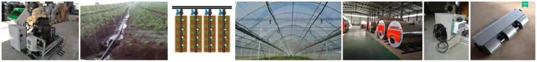 Customized Elliptical Tube Steady Film Greenhouse with Gutter for Promotion