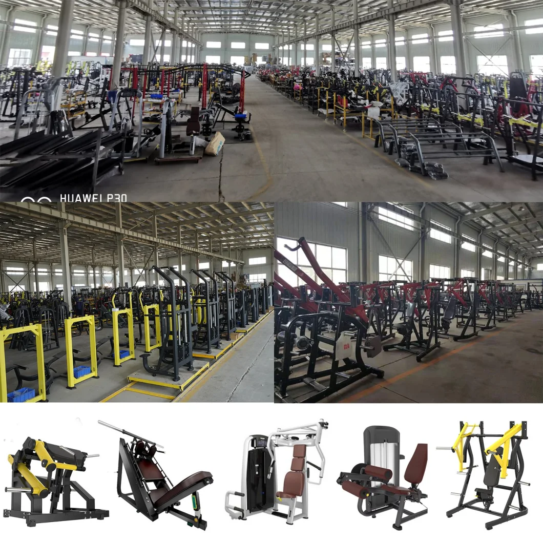 Ce Approved Commercial Gym Equipment Shoulder Press for Gym Use