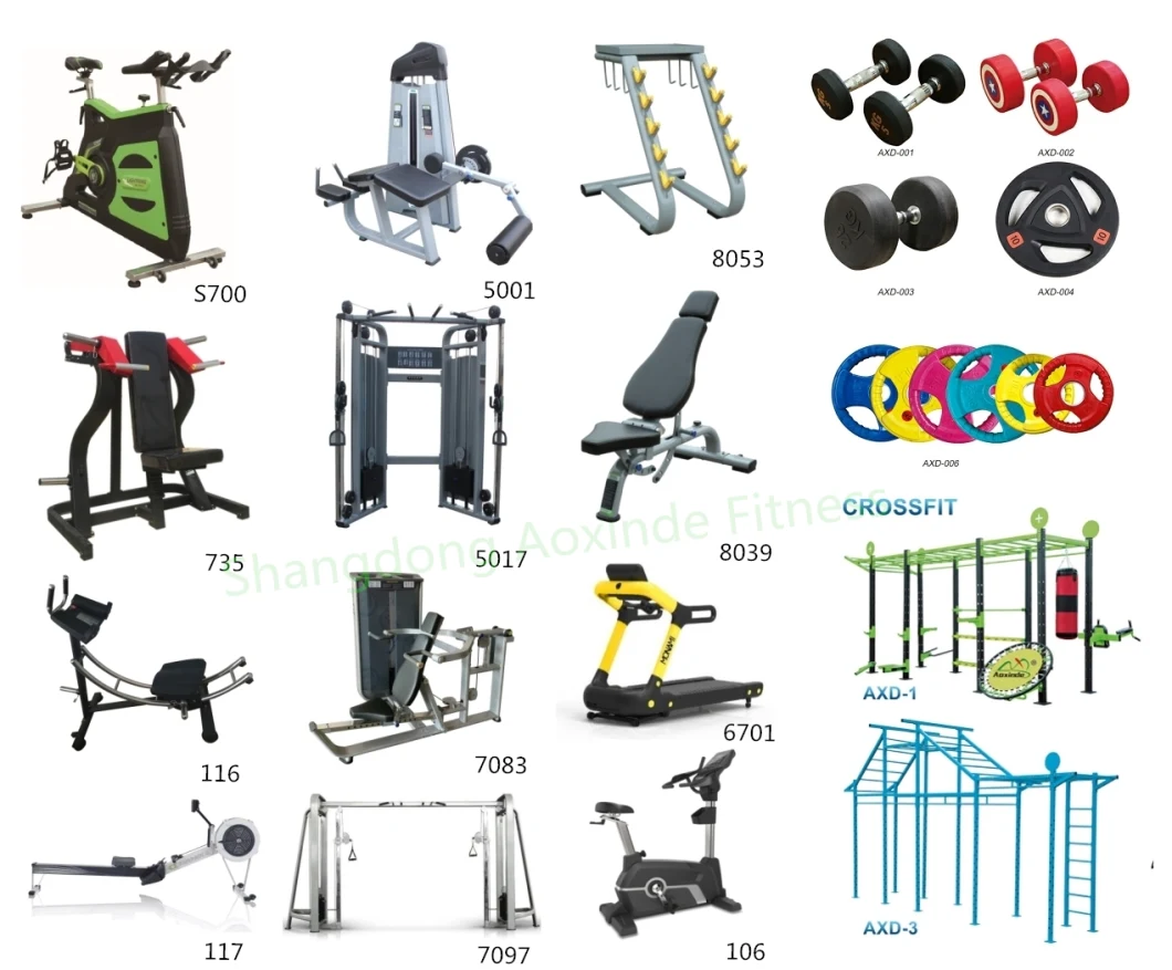 Best Selling Gym Machine Fitness Equipment Bicep Curl &Tricep Curl (AXD-8085)