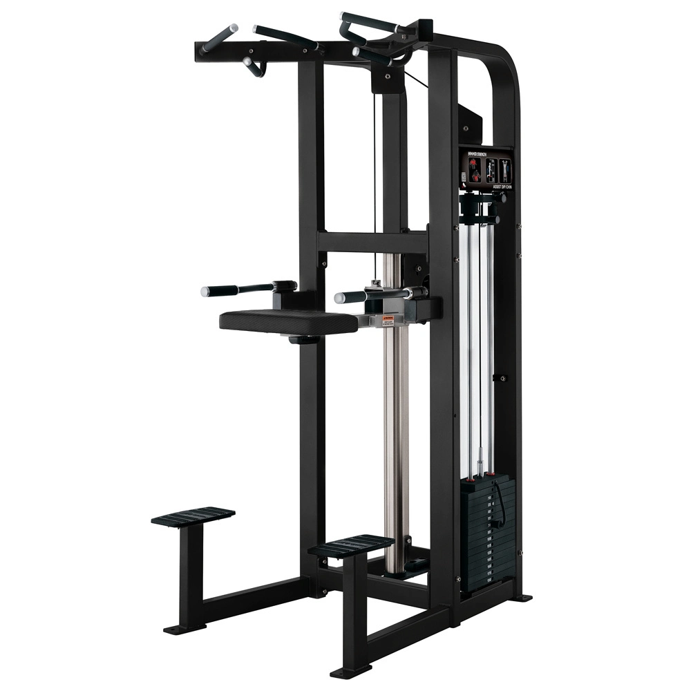 Bodybuilding Fitness Equipment Sports Exercise Gym Training Equipment Assist DIP Chin