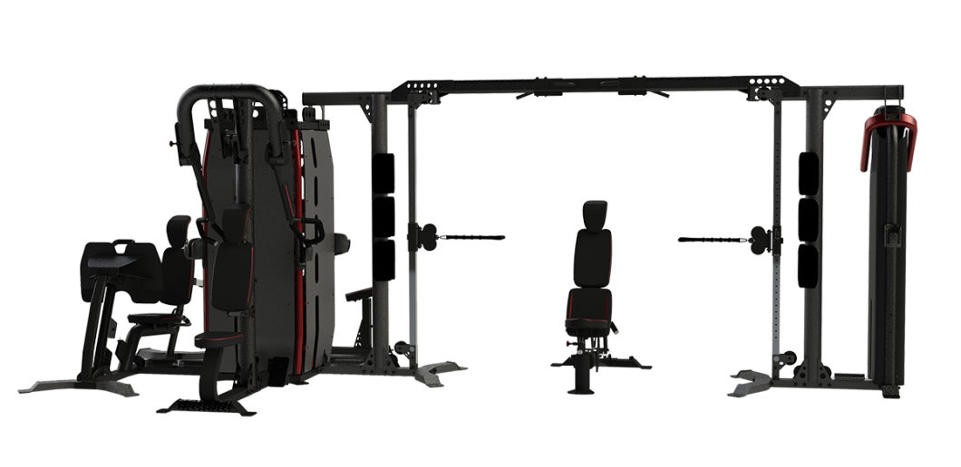 Commercial Abdominal Curl & Back Extension Gym Exercise Strength Equipment in Gym Exercise Room