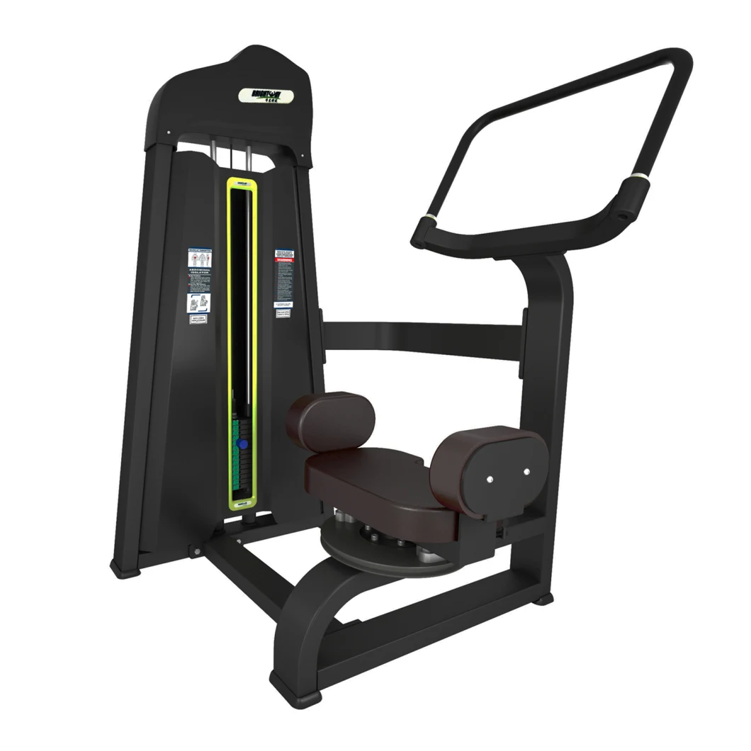 Classical Movement Rotary Torso Exercise Gym Workout Equipment Fitness for Bodybuilding