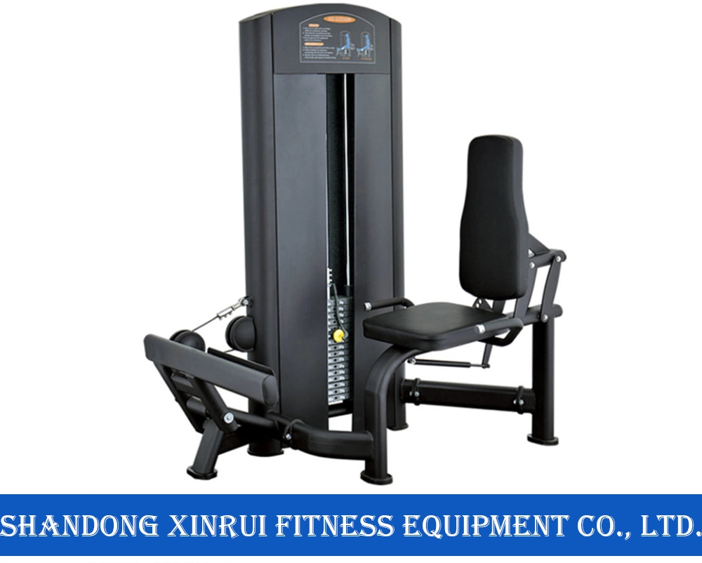 Standing /Seated Calf Machine Gym Strength Equipment Body Fitness Equipment
