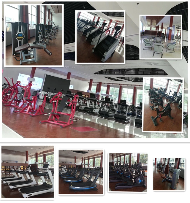 Low Row Tz-6021 /Gym Fitness Equipment/Club Machine