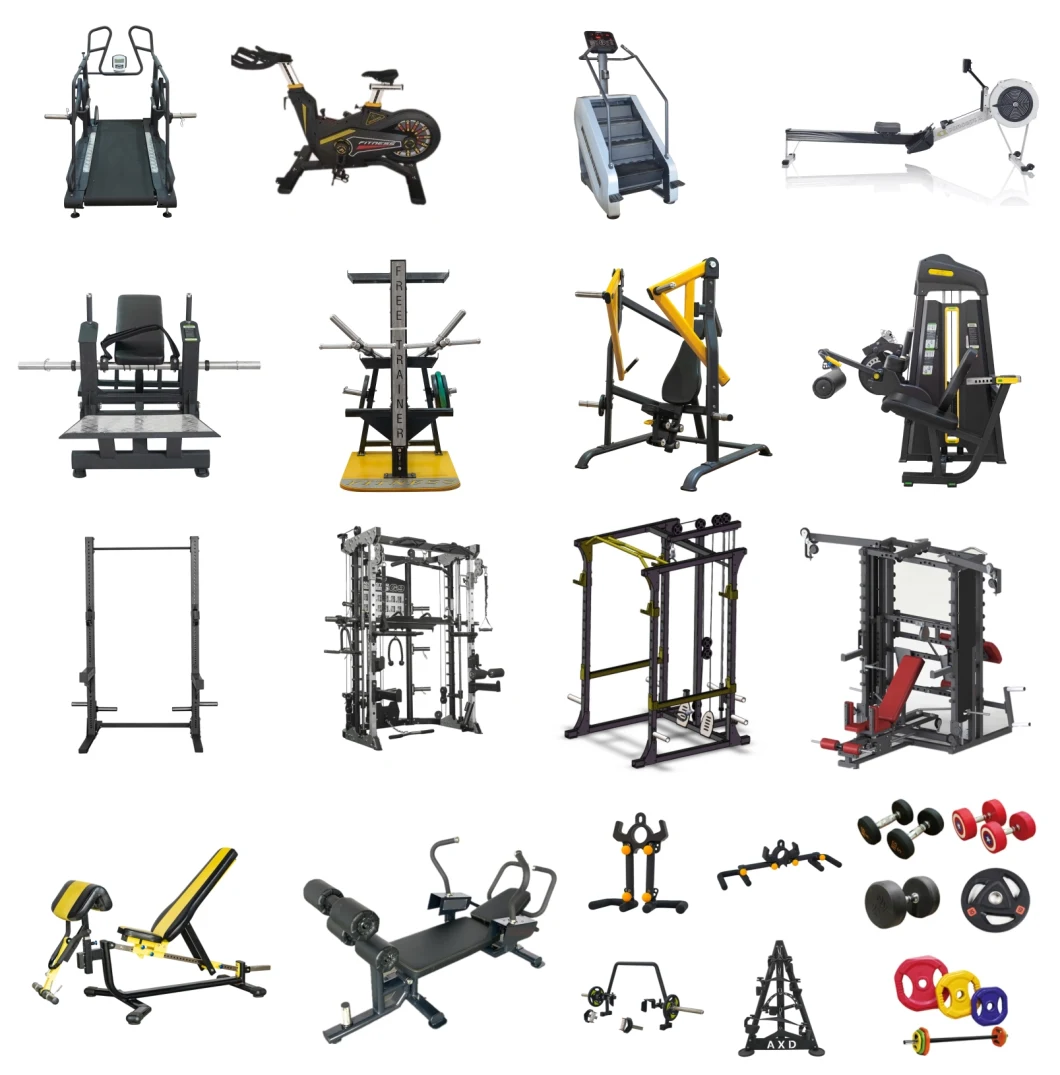 Commercial Home Gym Fitness Equipment Strength Machine Gym Fitness Equipment Seated Preacher Curl (AXD-B116)