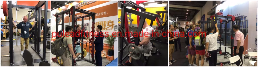 Commercial Gym Fitness Equipment Sports Workout Body Building Seated Leg Extension Equipment