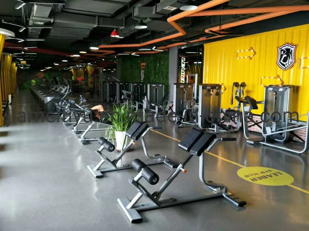 Maintenance-Free Gym Equipment Seated Row