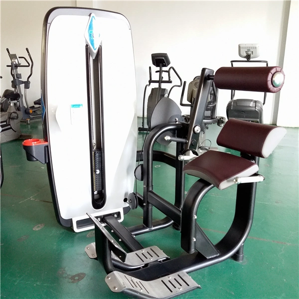 Commercial Gym Equipment/Abdominal Exercise Machines/ Back Extension Tz-9006