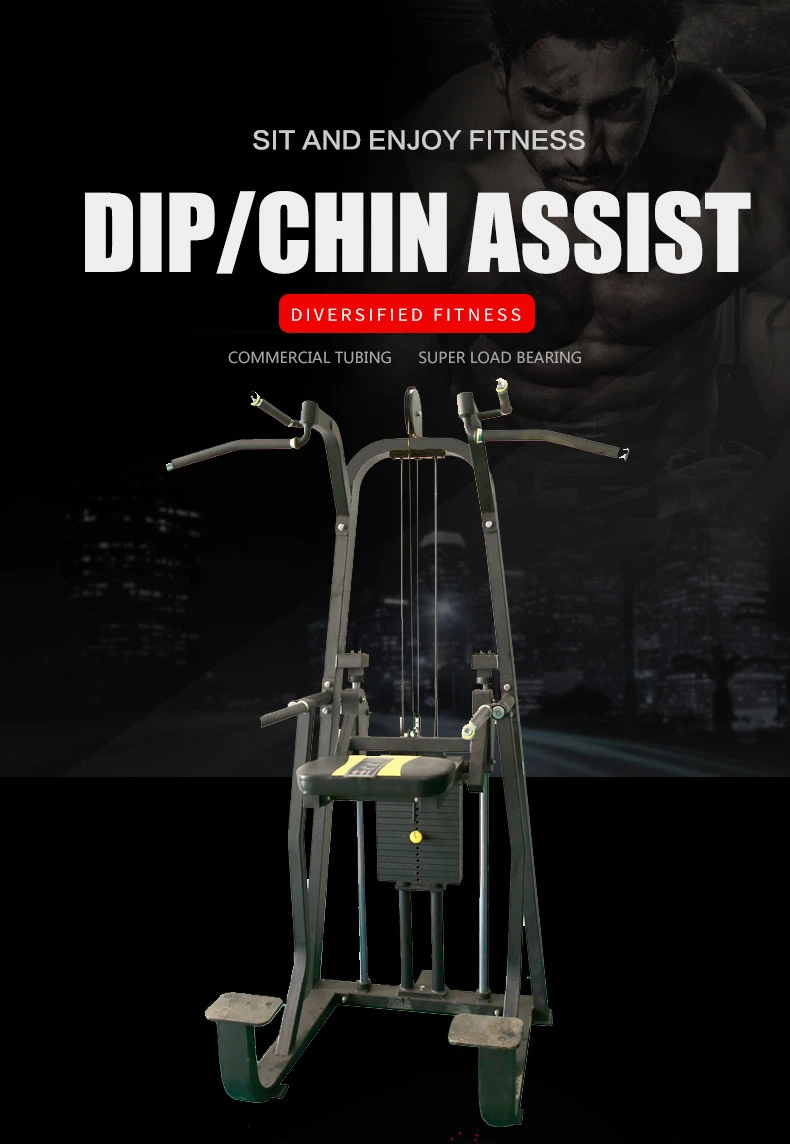 High Quality Gym Equipment Assist DIP and Chine/Fitness DIP Chin Machine for Sale