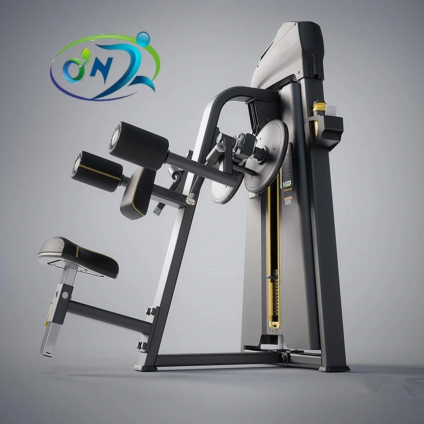 Ont-N005 High Quality Gym Fitness Equipment /Bodybuilding Exercise Machine Lateral Raise