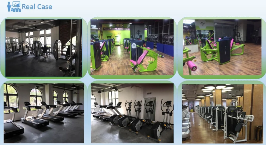 Factory Gym Equipment Crossfit Equipment for Gym Club