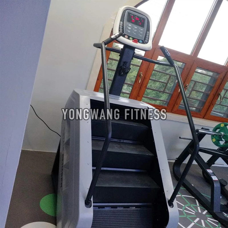 Low Price Luxury Exercise Cardio Machine Fitness Equipment Climber Ladder