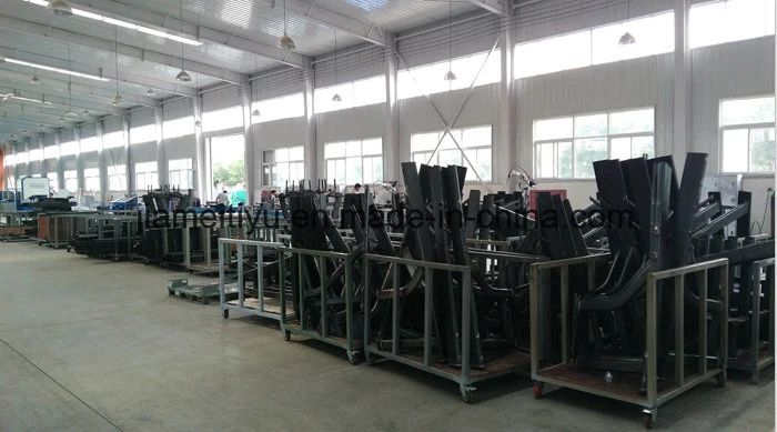 Vita Lat Machine Commercial Fitness Machine From China