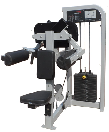 High Quality Popular Gym Fitness Equipment Lateral Raise Machine