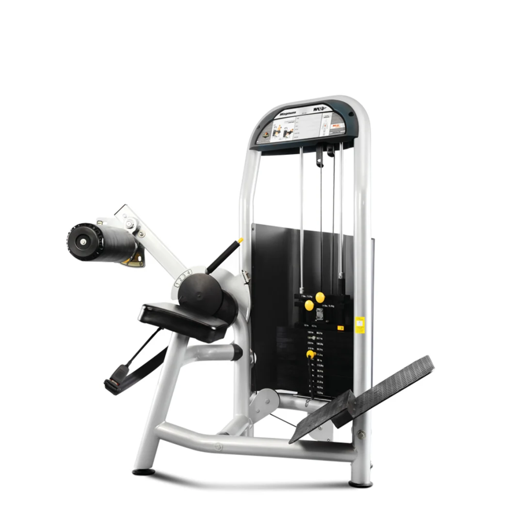 Selectorized Commercial Back Trainer Gym Exercise Machine Fitness Strength Equipment