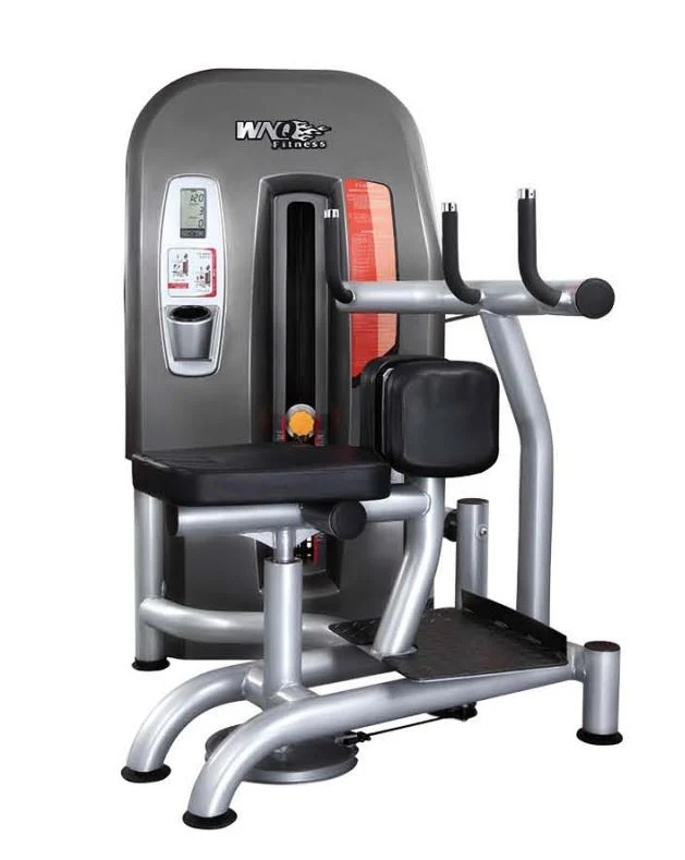 Waist Rotary Gym Machine Exercise Equipment for Commercial Use in Gym Exercise Room