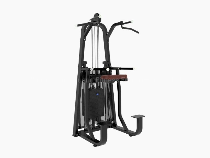 Gym Fitness Machine Assist Chin/DIP for Sale