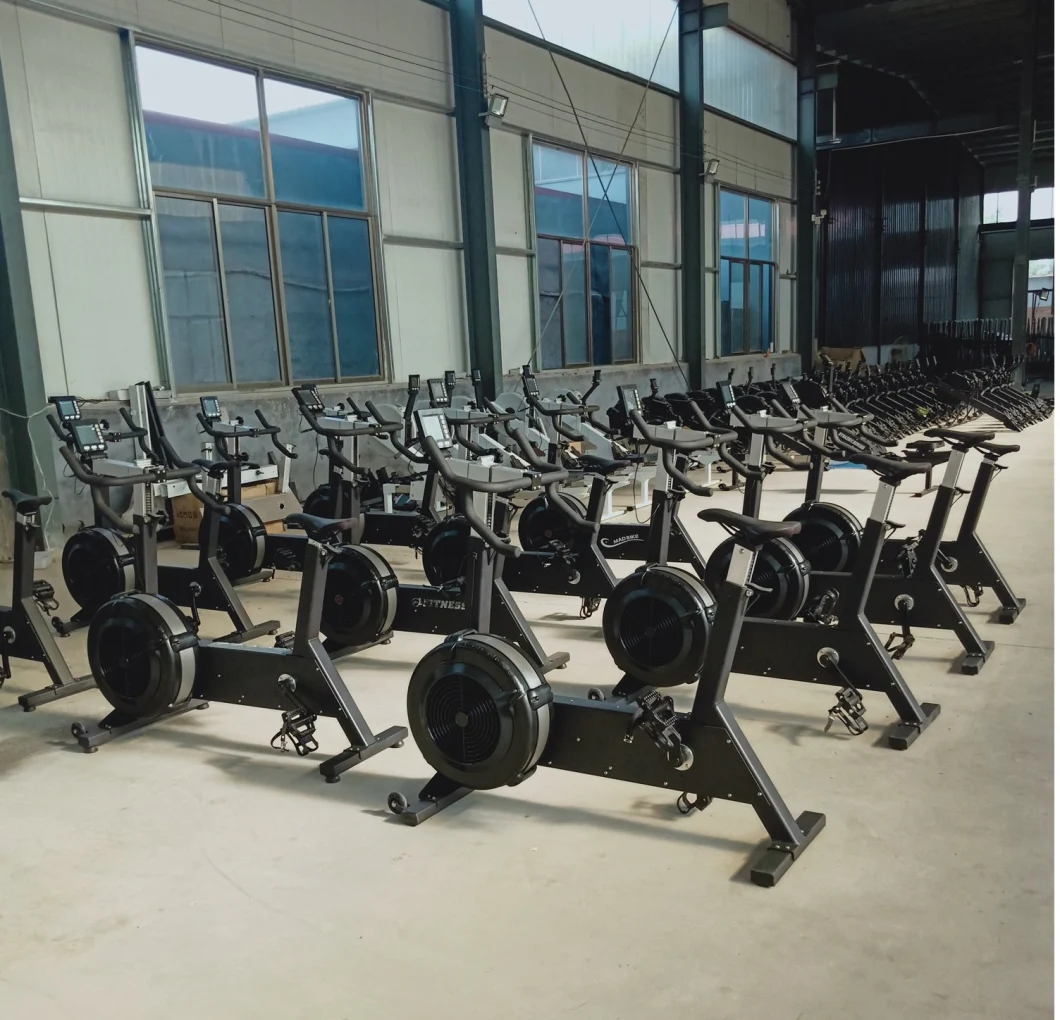 High Quality Commercial Strength Equipment Leg Curl