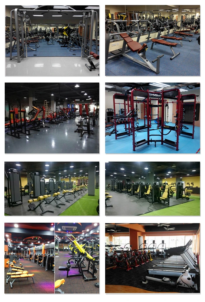 Fitness Equipment Rack/Power Cage/Crossfit Rack/Gym Power Rack