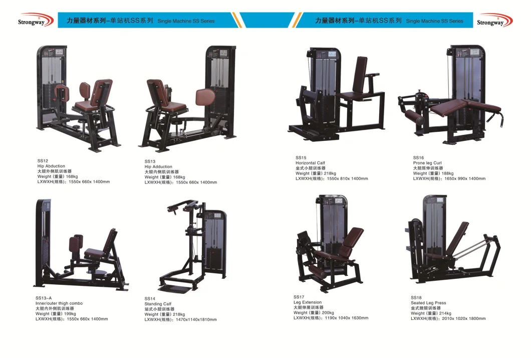 Gym Fitness Equipment Commercial Biceps Curl Machine Gym Fitness Equipment