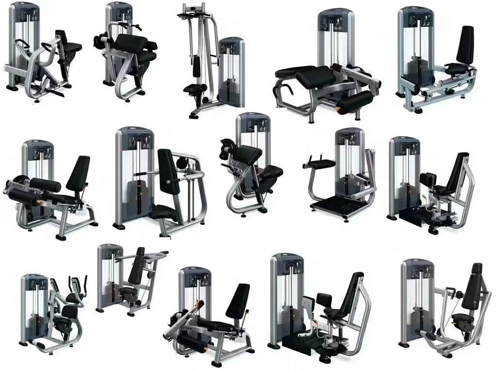 Factory Directly Supply Precor Strength Gym Equipment DIP/Chin Assist Machine