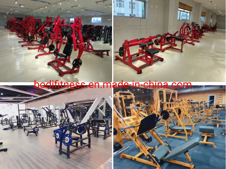 Gym Machine/Plate Loaded Fitness Equipment/Hammer Strength/Seated Leg Curl