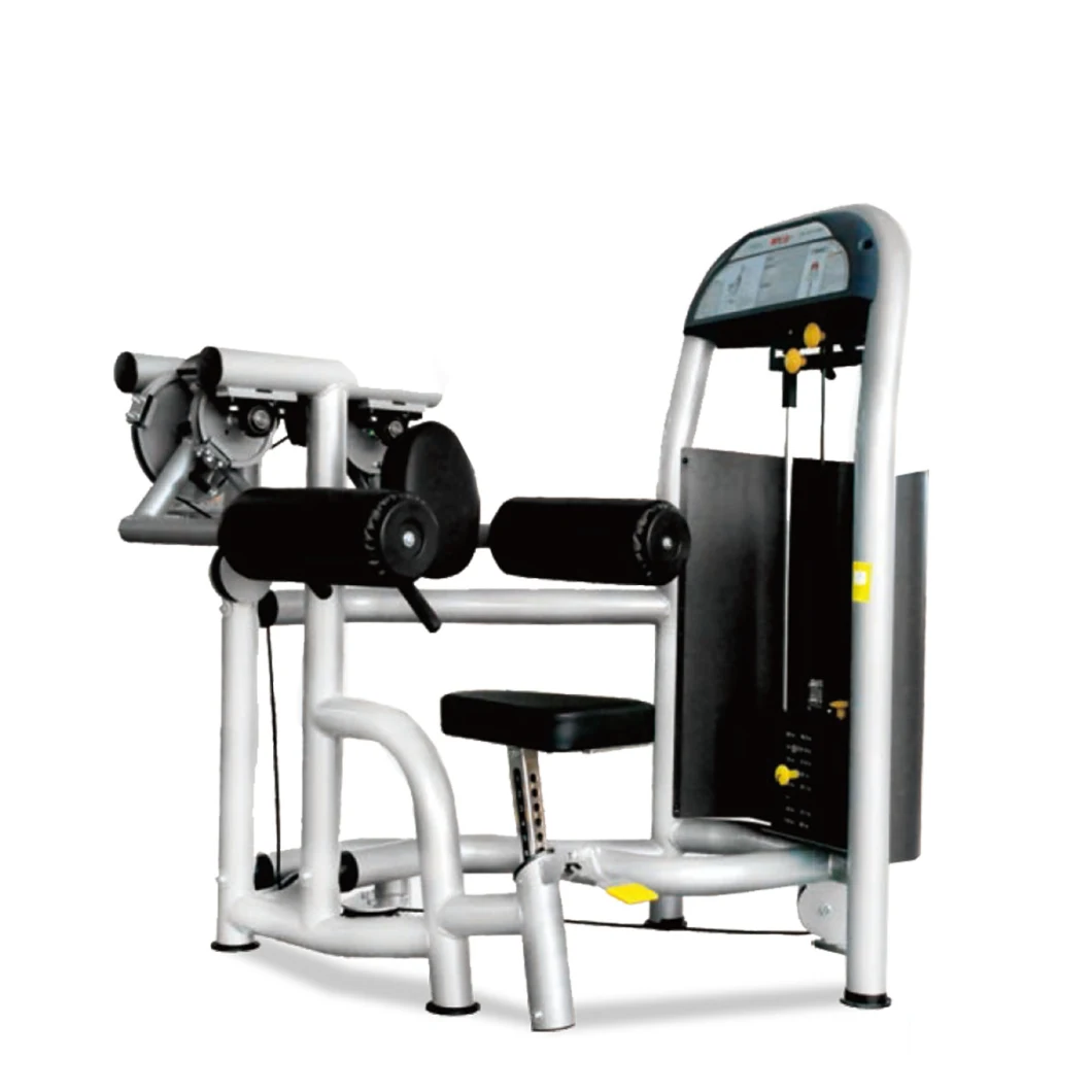Deluxe Selectorized Commercial Deltoid Raise Gym Exercise Machine Fitness Strength Equipment