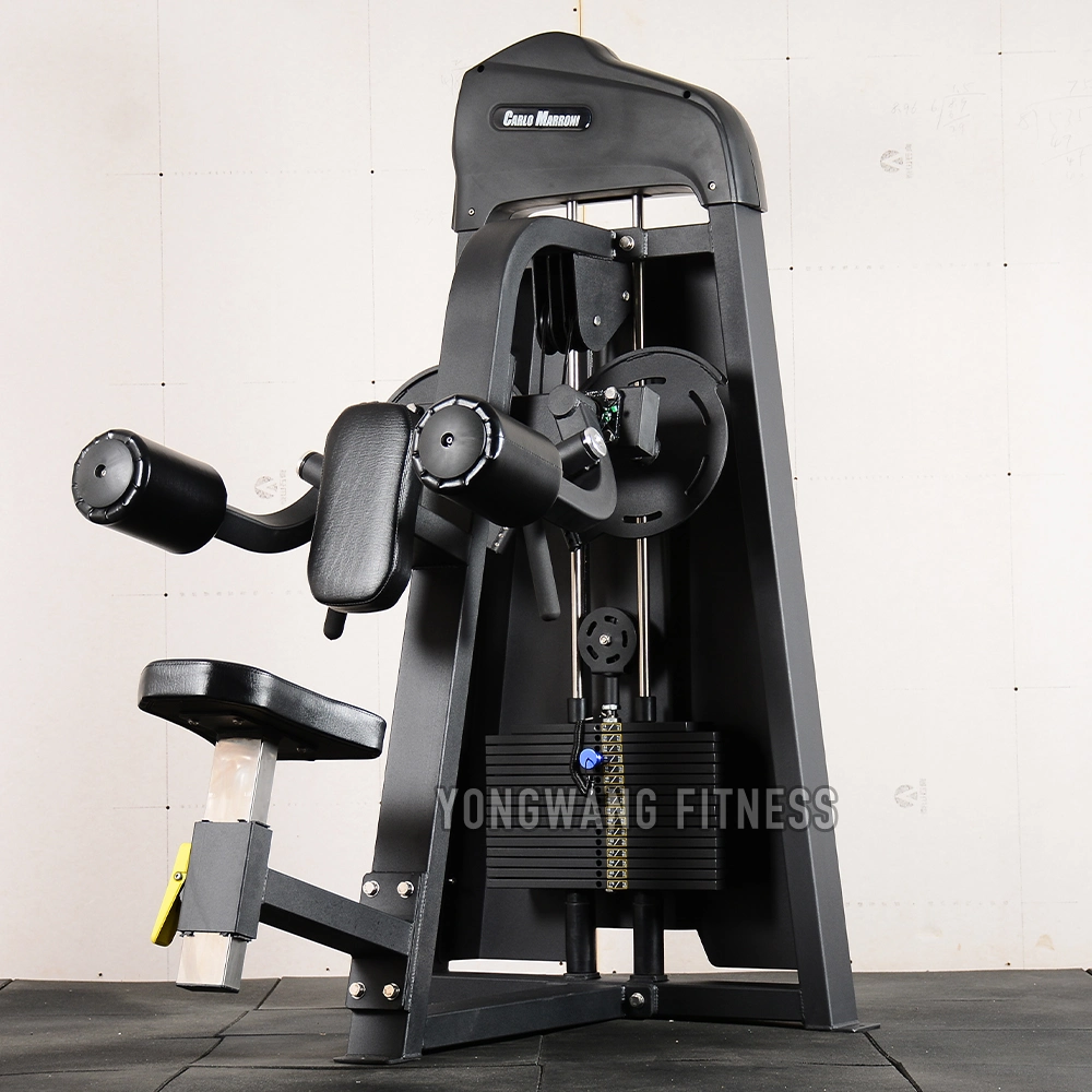 Yongwang Commercial Fitness Equipment Lateral Raise Machine for Gym Use