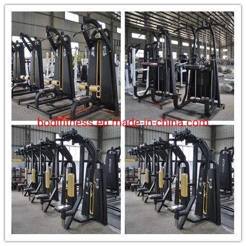 Factory Direct Sales Commercial Luxury Gym Equipment Exercise Camber Curl
